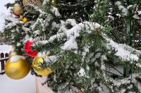 Куда сходить с ребёнком в Курске на новогодних каникулах