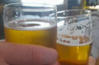 В Курской области планируют запретить алкомаркеты в многоэтажках