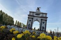 В Курске в парке «Патриот» вновь высадят тюльпаны