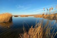 В Курске разработают проектно‑сметную документацию на реконструкцию Курского водохранилища