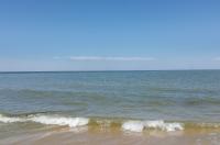 В Орле работает выставка наследия капитана Кусто