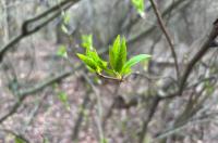 В Курской области объявлена Неделя экологических знаний