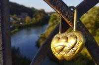 В Курской области в марте поздравили около 30 пар с юбилеями супружеской жизни