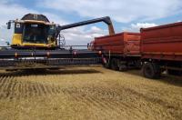 Курские власти внесли изменения в закон для помощи аграриям из приграничья