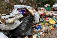 В Курской области построят комплекс по обращению с ТКО за 16,8 млрд