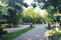 В Курской области 22 июня обещают дожди с грозами и градом