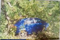В Курске с муниципалитета взыскали более 735 тыс.рублей за упавшее на авто дерево