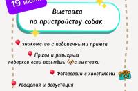 В Курске 19 июля в парке «Новая Боевка» пройдёт выставка по пристройству собак