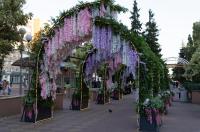 На улице Ленина в Курске продолжают преображать облик города