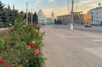 Куряне пожаловались на засохшие туи и живую изгородь в парках