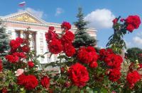 В Курской области благодаря аэрофотосъемке обследовано 582 поврежденных дома